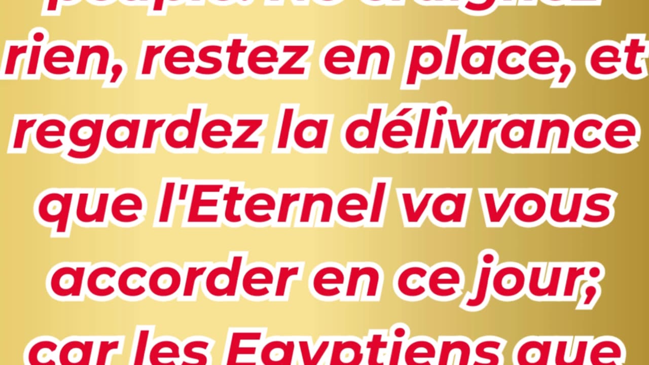 « N’ayez pas peur : Dieu combat pour vous » Exode 14:13.#shortvideo #shorts #youtubeshorts #ytshorts