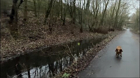 17/01/26 trail run with willow