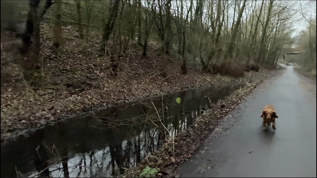 17/01/26 trail run with willow