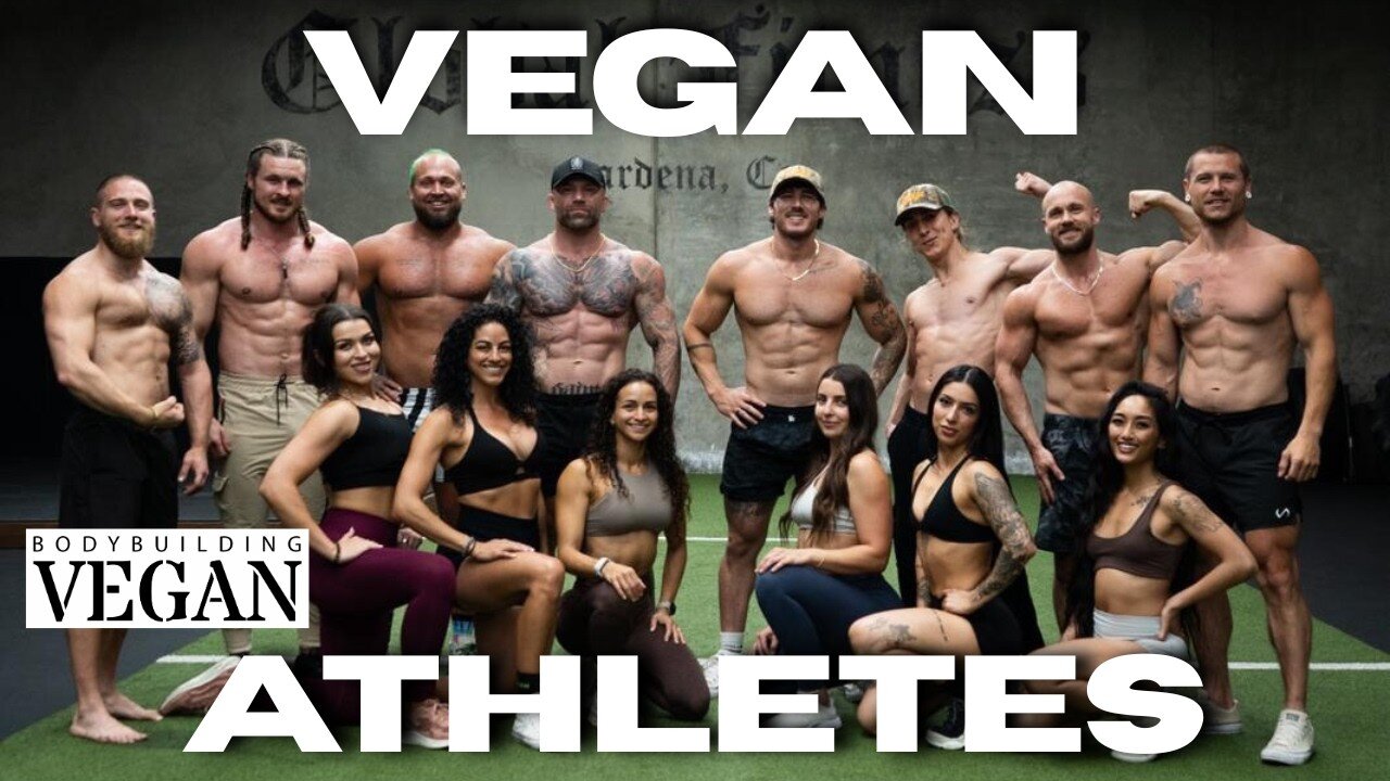Shocking Interview With the Fully Vegan Vedge Nutrition Team | TheBodybuildingVegan