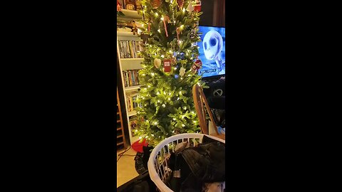 Christmas/Yule has come to our home! 🕯🎄✨️