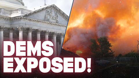 Dem Cover-Ups Exposed on Minnesota Fraud & LA Fires