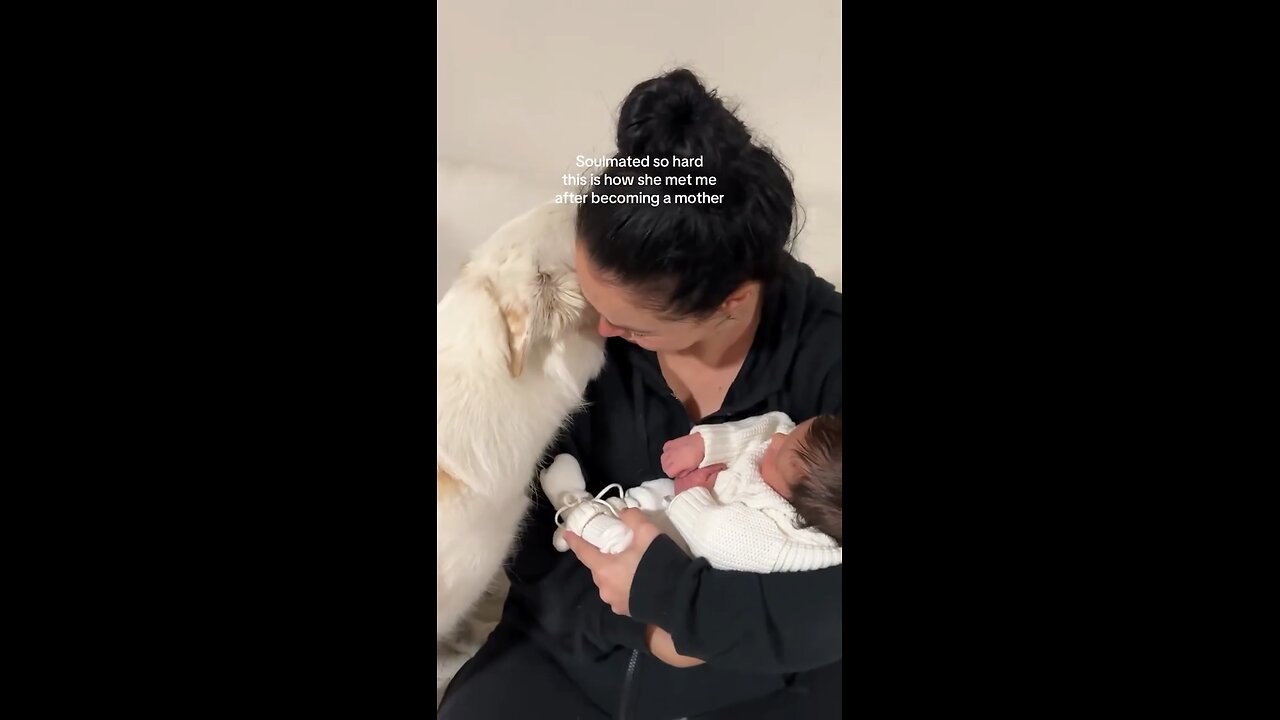 She's like 'yeah cool its a baby, but are YOU ok?"😭😭