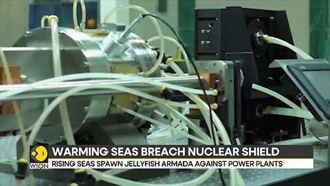 Jellyfish_Invasion_Disrupts_Major_Nuclear_Power_Station_in_France___WION