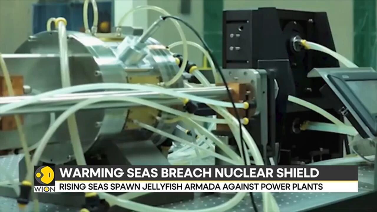 Jellyfish_Invasion_Disrupts_Major_Nuclear_Power_Station_in_France___WION
