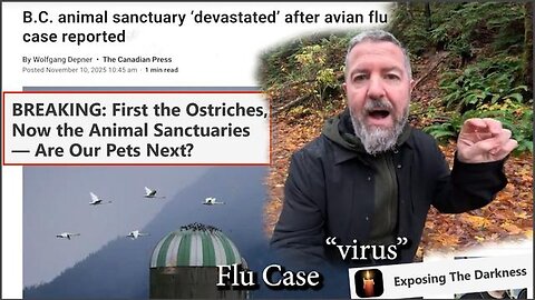 First the Ostriches, Now the Animal Sanctuaries — Are Our Pets Next?