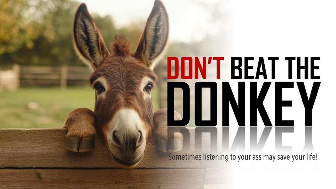 Don't beat the donkey!