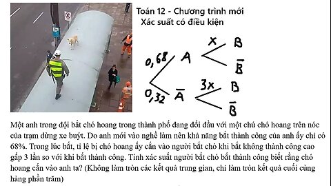 Toán 12: Xác suất có điều kiện: Một anh trong đội bắt chó hoang trong thành phố đang đối đầu với