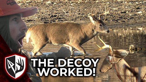 Rattled In A Public Land Buck! Can't Believe That Worked!