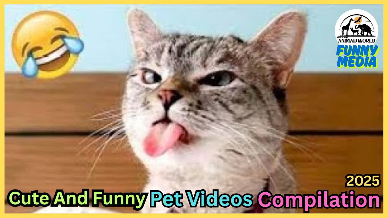 🤣 Cute and Funny Animal Videos 🤣