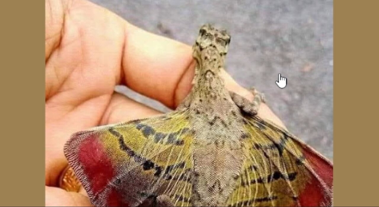 God made cool things
