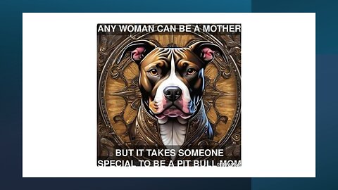 UNITED STATES INC GENERALS AND MAJOR SMITH, DIRECTOR OF SAFETY AND EMERGENY SERVICES FOR AMERICANS