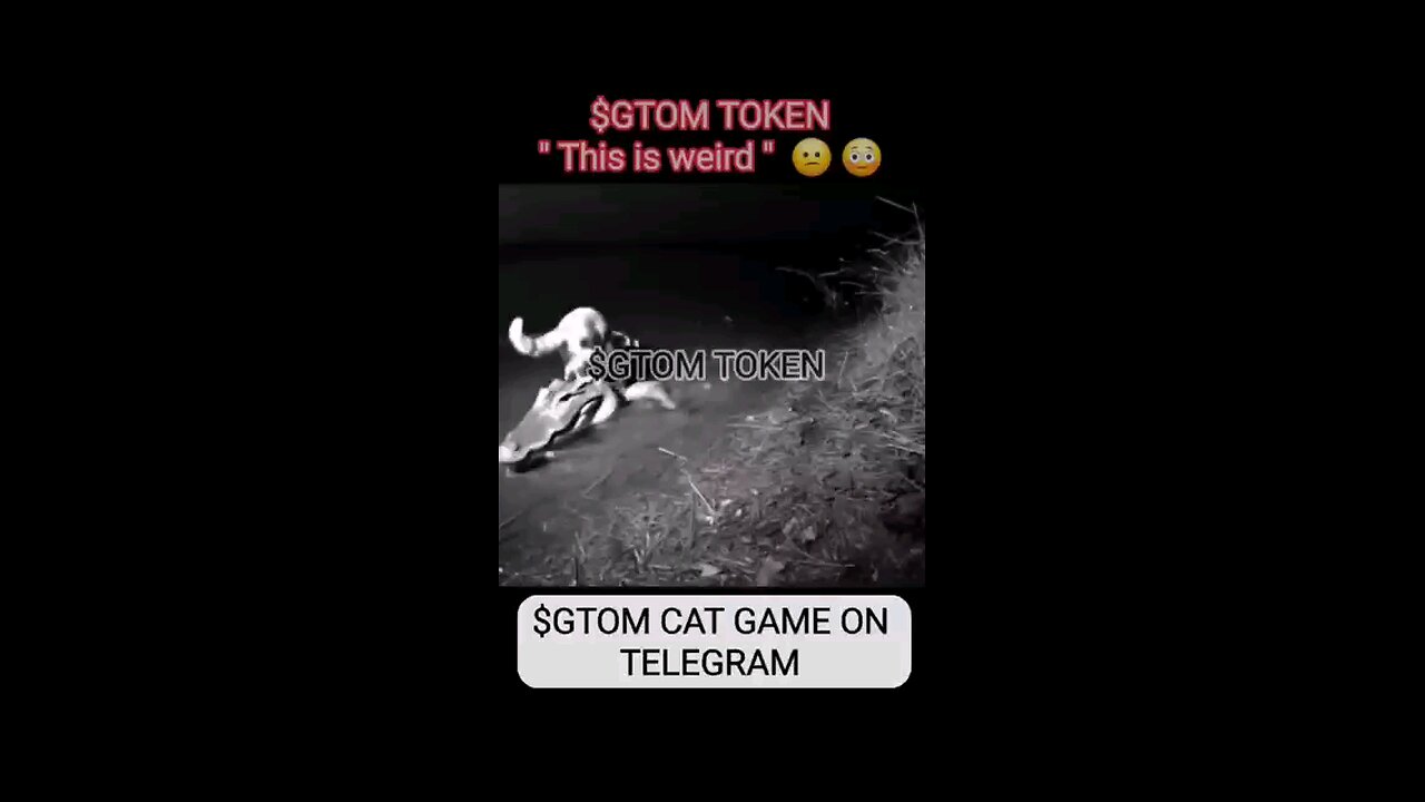 CAT JUMPED OVER A CROCODILE'S HEAD | $GTOM MISSION: DELIVER 1,000,000 TOKENS PER HUMAN ON EARTH