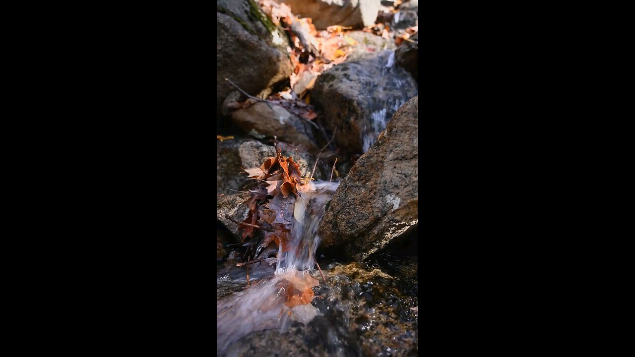 Daily Verse January 1st 2026