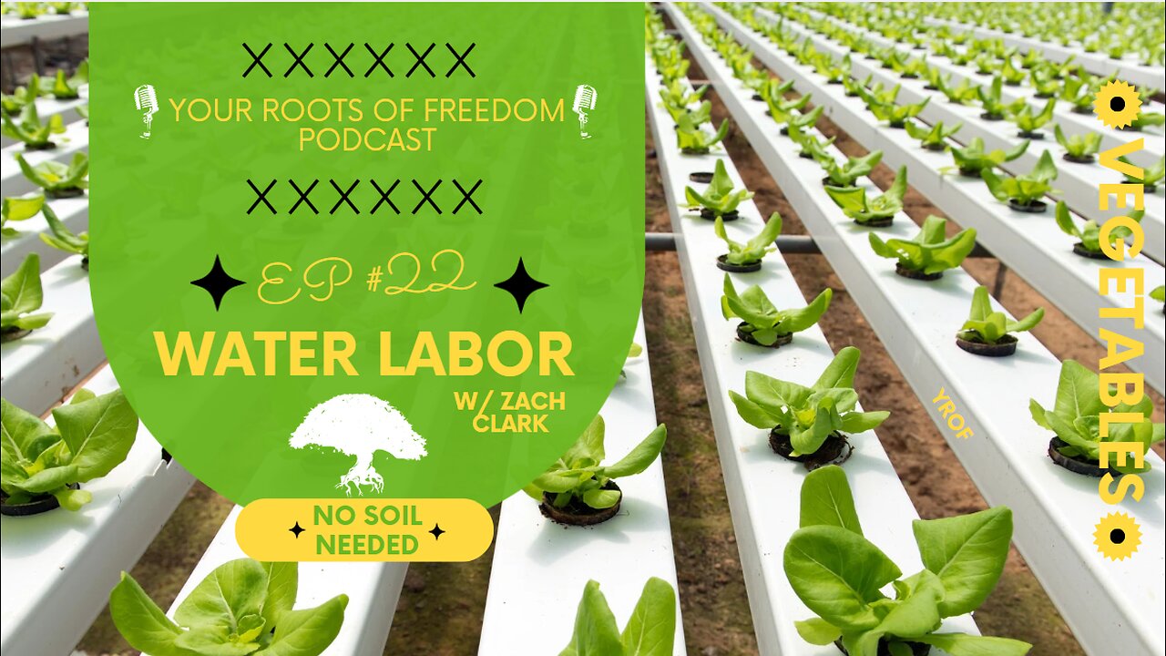 WATER LABOR
