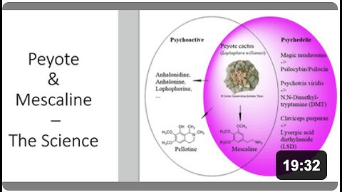 Mescaline & Peyote - Scientific Evidence