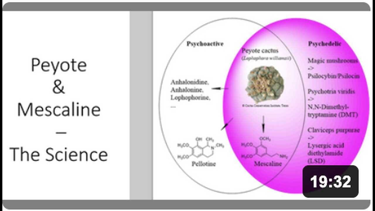 Mescaline & Peyote - Scientific Evidence