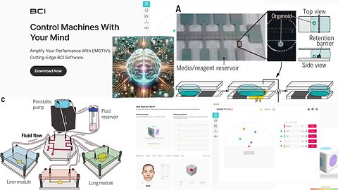 BCI Software To Access Brain Organoid Computing - Pioneers Show How To Install/Run Node-RED