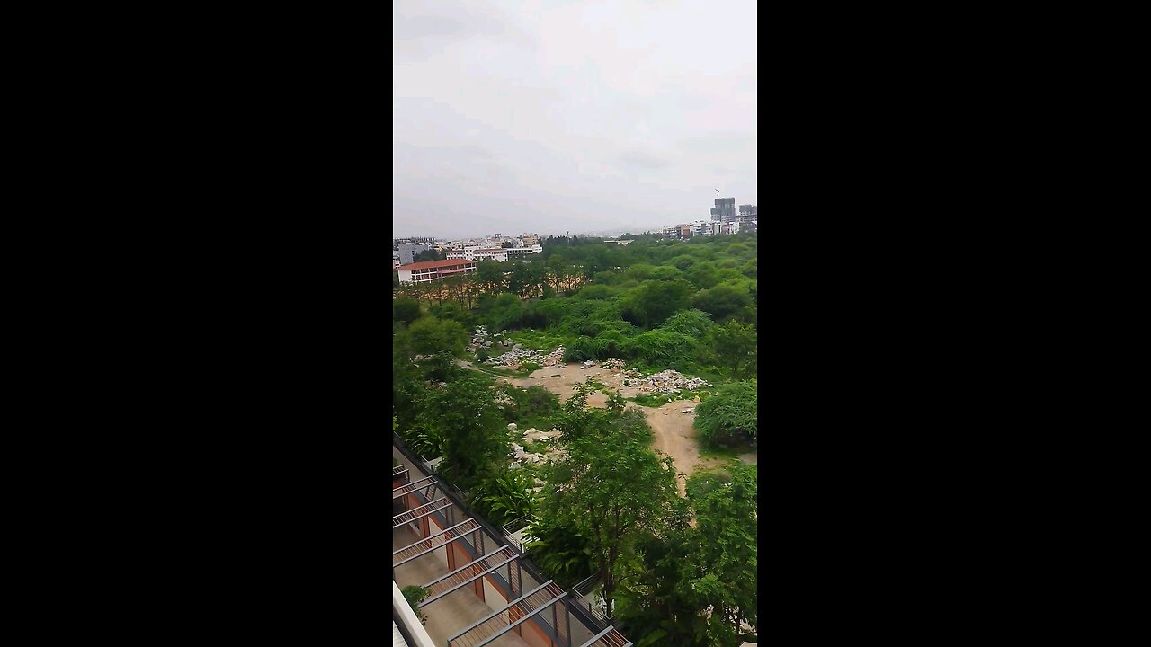 My window view - Nature #beautiful #nature #kcmfortelugupeople