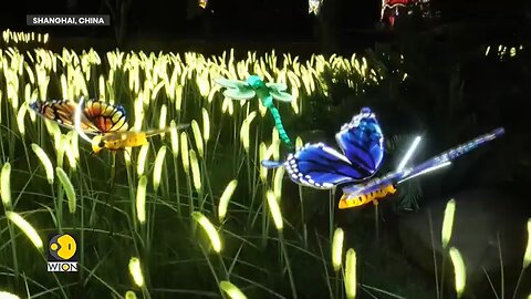 China__Hundreds_of_Drones_Dazzle_at_Shanghai_Wild_Animal_Park___WION_Fineprint