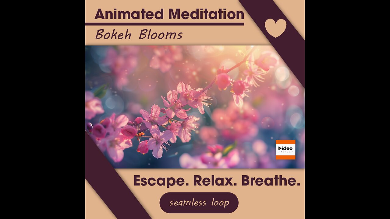 🌸Bokeh Blooms • Therapeutic Meditation Relaxation & Stress-Relief Nature • Low Stim 4K Ambient Calm