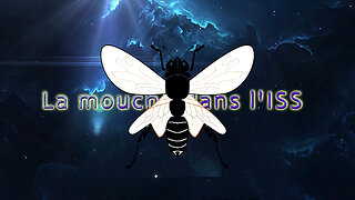 L'ISS ? Une mouche dans le potage ! Voir descriptif