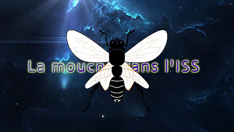 L'ISS ? Une mouche dans le potage ! Voir descriptif