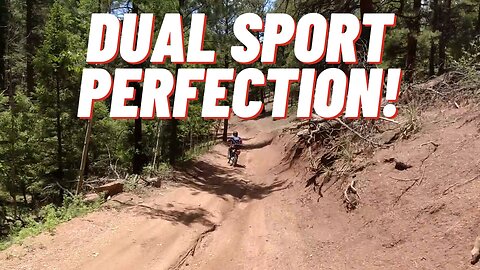 Perfection! - This is why I love Dual Sports!