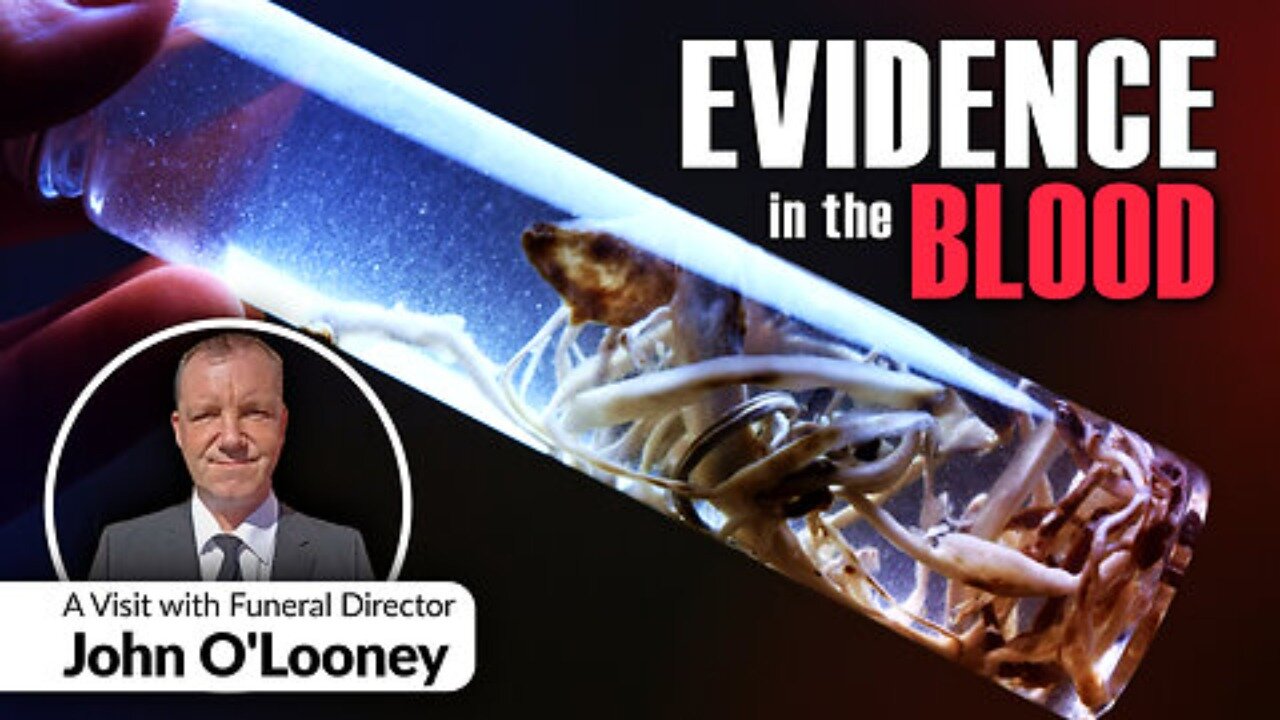 John O'Looney Funeral Director Speaks Out Finding in Covid Vaxxed Evidence in the Blood