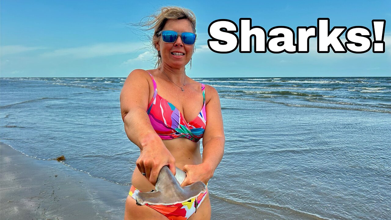 SHARKS at Surfside Beach = She Reels in the Unexpected!
