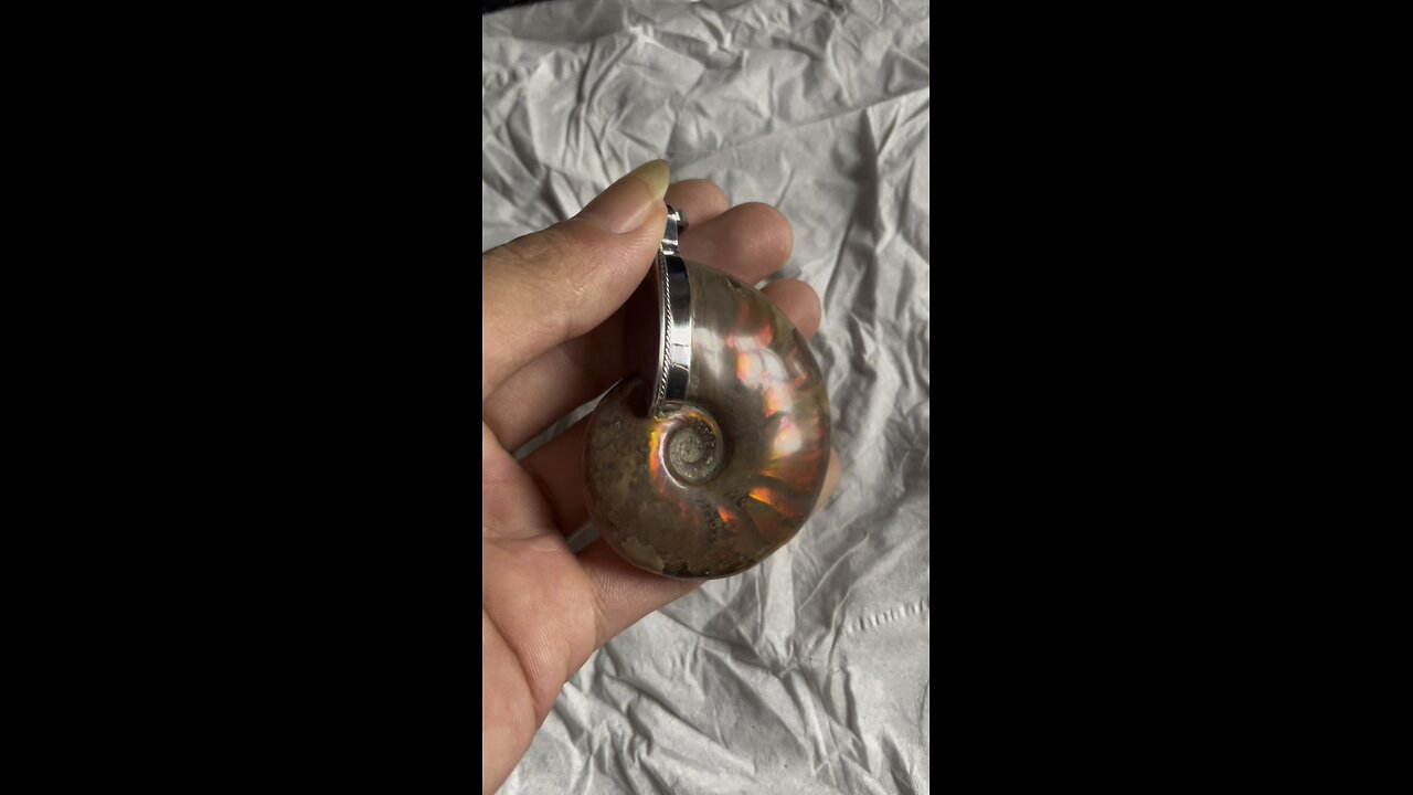 Natural rainbow ammonite