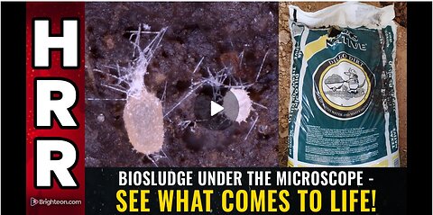 "'IOSLUDGE' - under the microscope | see what comes to life!"