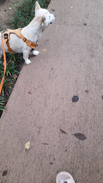 20250621. Remember My LORD. Jesus Christ.