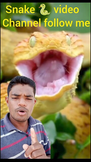 Snake video please my new face and support my friends follow me my channel subscribe please