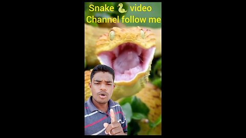 Snake video please my new face and support my friends follow me my channel subscribe please