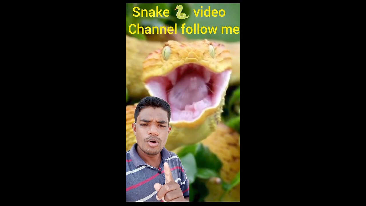 Snake video please my new face and support my friends follow me my channel subscribe please