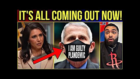 Tulsi Gabbard Just Uncovered Something Seriously Big About Fauci!!!!