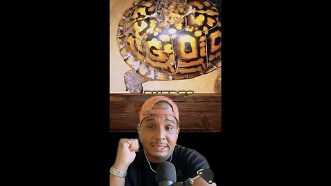 Que dice este caparazón sando de cancer estapa 3 🤯 #religion #jesus #2025 #viral #reels