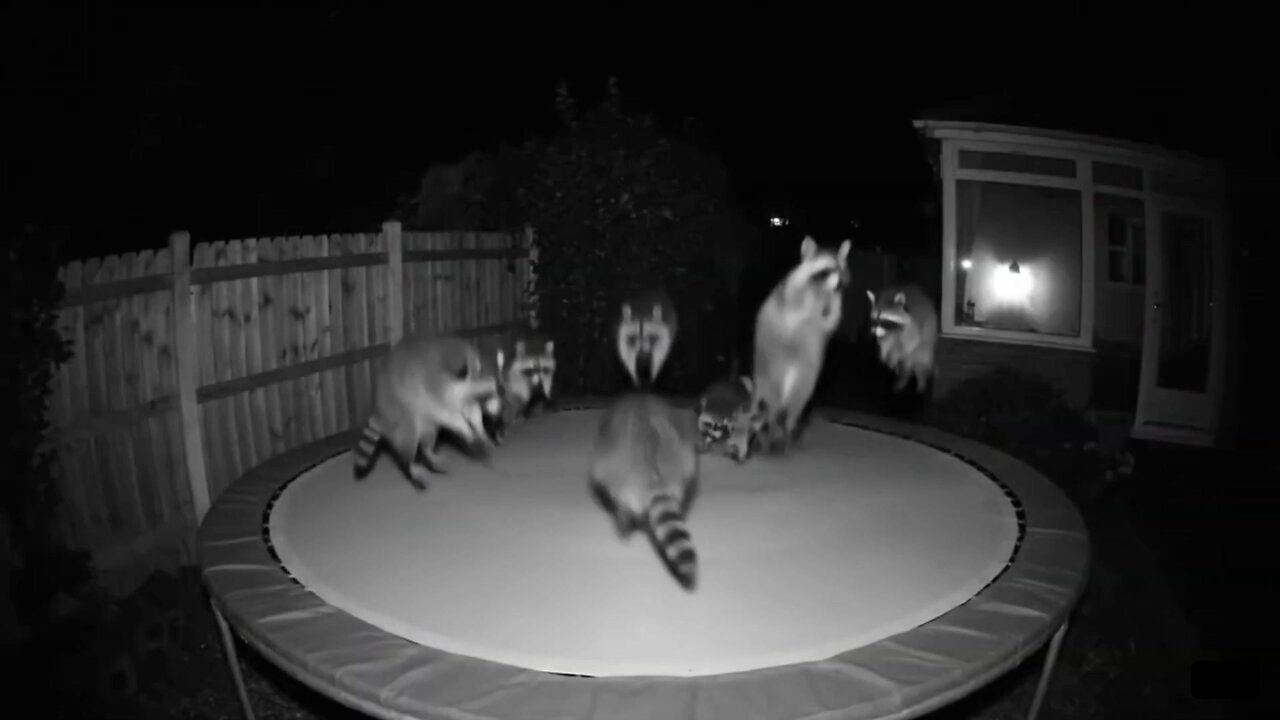 I just checked the home security