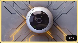 Algorithmic Pricing and the American Social Credit Score