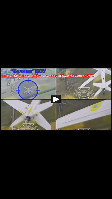 Sumy region: Russian FPV drone caught and knocks out "Ukrainian Bulava UAV"