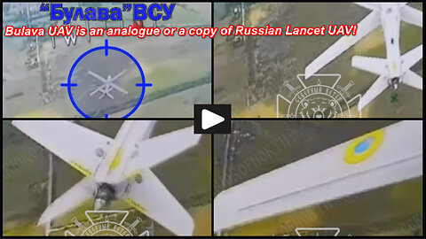 Sumy region: Russian FPV drone caught and knocks out "Ukrainian Bulava UAV"