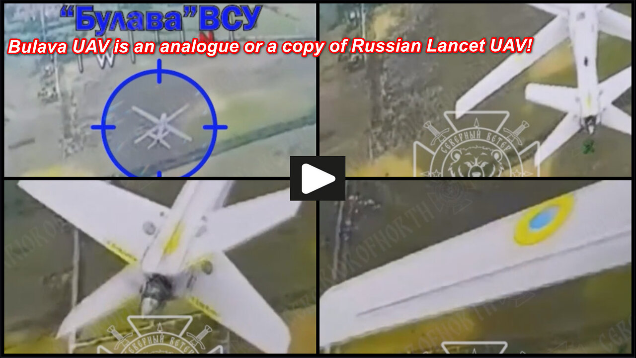 Sumy region: Russian FPV drone caught and knocks out "Ukrainian Bulava UAV"