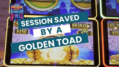Session saved by a Golden Toad 🐸🎰💵
