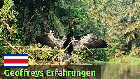 (460) Erfahrungen von Geoffrey in COSTA RICA | AUSWANDERN nach COSTA RICA