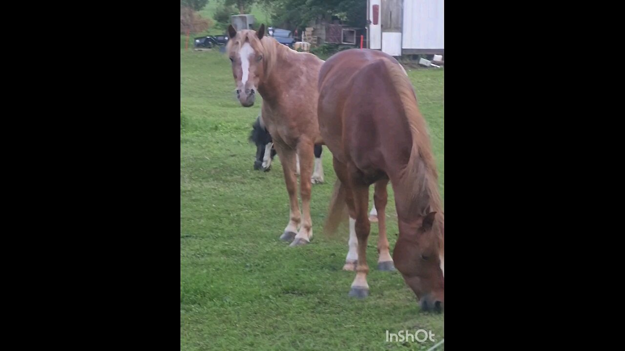 Don't know if you know (Hillbilly Jesus)