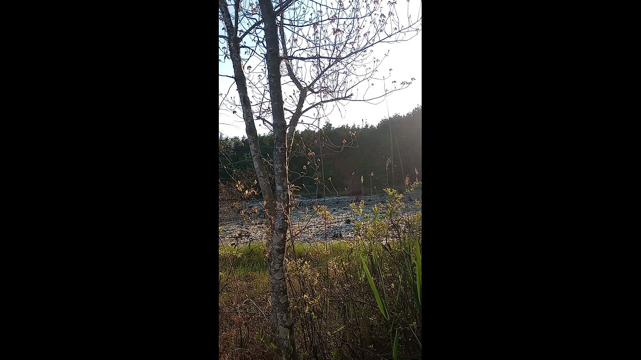 𝓒𝓸𝓻𝓵𝓲𝓼𝓼 𝓟𝓪𝓻𝓴 𝓛𝓪𝓴𝓮 𝓲𝓷 𝓦𝓪𝓽𝓮𝓻𝓽𝓸𝔀𝓷, 𝓝𝓮𝔀 𝓙𝓮𝓻𝓼𝓮𝔂.