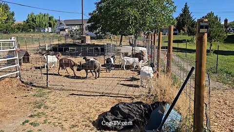 Graham Family Farm NW: 9:00 AM July 25 2025