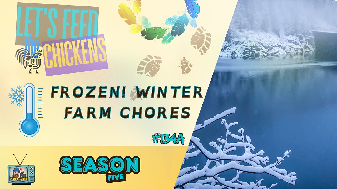 Frozen! Winter Farm Chores | Let's Feed the Chickens | E134a