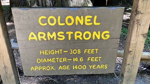 Colonel Armstrong Redwood